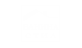 logo vaninastil